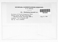 Image Associated With the Occurence
